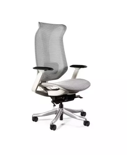 Kúpte si Ergonomická kancelárska stolička FOCUS šedá za skvelú cenu.